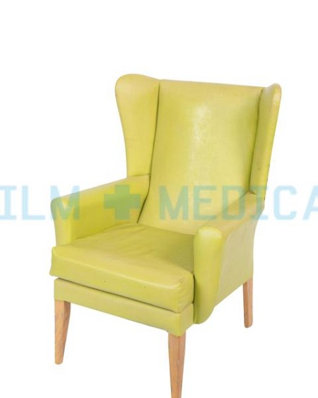 Green Wing Back Chair 